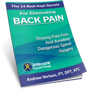 A Pain In the Back - free report cover back pain